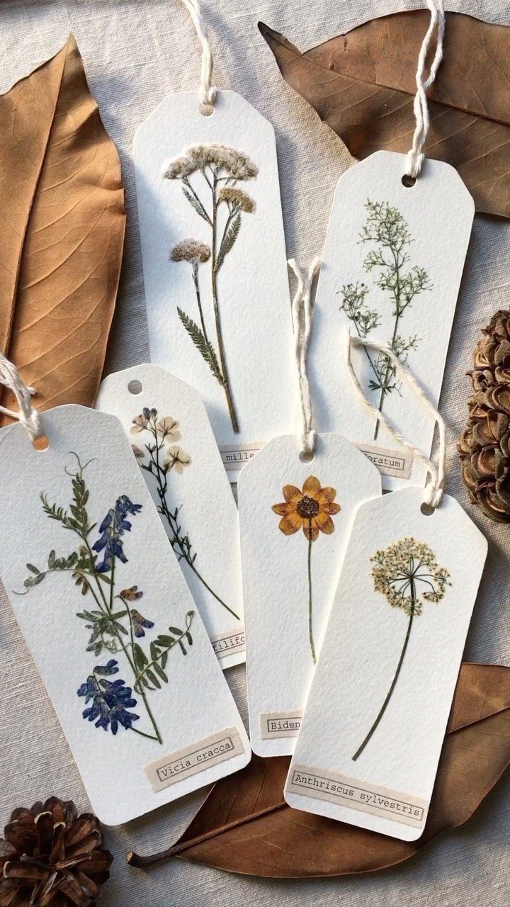 Seed Paper Bookmarks